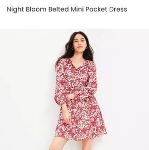 LOFT Red Floral Belted Mini Dress